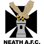 尼思