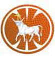卡维纳斯女篮 Logo