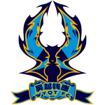 杭州临平吴越U17